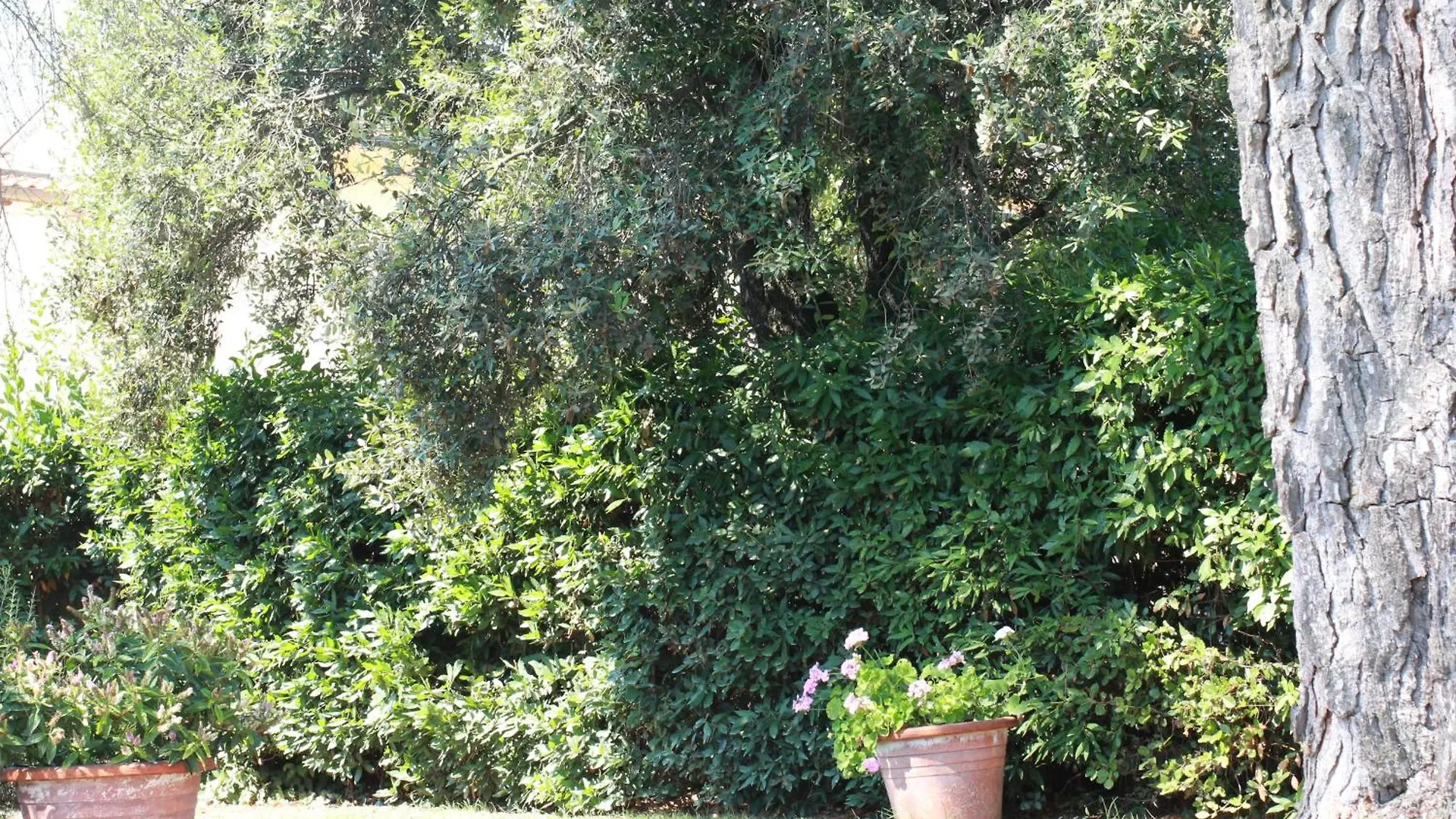 Casa vacanze Villetta La Pineta Latignano